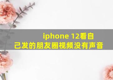 iphone 12看自己发的朋友圈视频没有声音